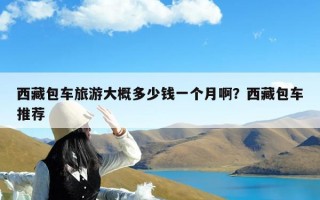西藏包车旅游大概多少钱一个月啊？西藏包车推荐
