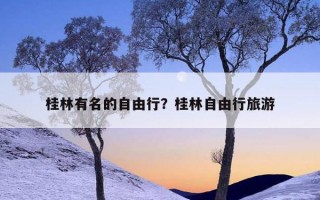 桂林有名的自由行？桂林自由行旅游