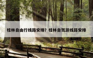 桂林自由行线路安排？桂林自驾游线路安排