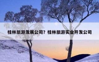 桂林旅游股份有限公司是国企吗？桂林旅游股份有限公司怎么样？
