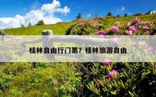 桂林自由行门票？桂林旅游自由