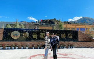 组团去西藏旅游8天要多少钱？5个人到拉萨8日游好多钱？