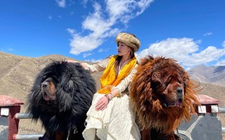 拉萨去旅游多少天好？去西藏旅游几天比较合适？