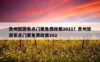 贵州旅游景点门票免费政策2021？贵州旅游景点门票免费政策202
