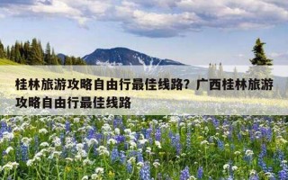 桂林旅游攻略自由行最佳线路？广西桂林旅游攻略自由行最佳线路
