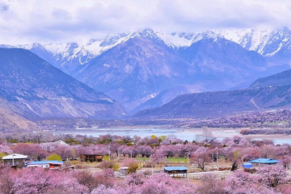 3月份去西藏玩7-8天的路线走哪些景点