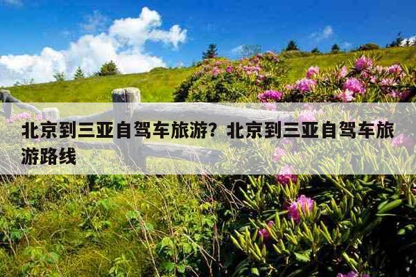 北京到三亚自驾车旅游?北京到三亚自驾车旅游路线 第1张