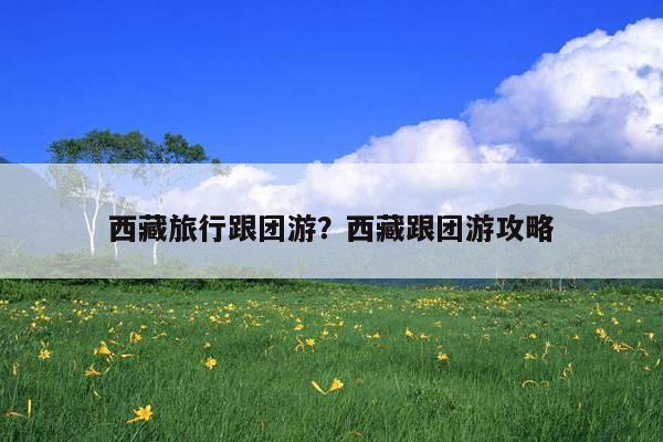 西藏旅行跟团游?西藏跟团游攻略-始足旅行网