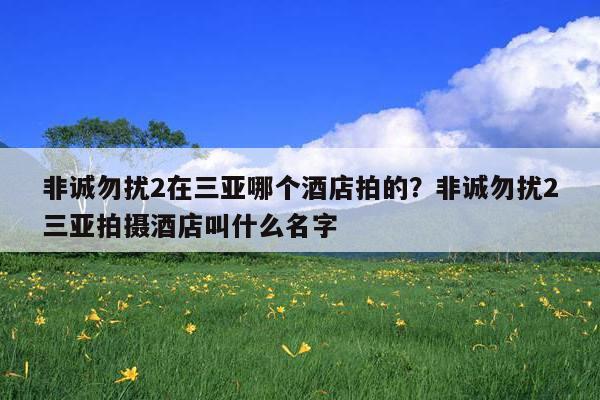 非诚勿扰2在三亚哪个酒店拍的？非诚勿扰2三亚拍摄酒店叫什么名字-第1张图片